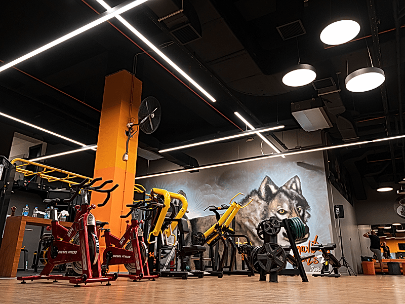 Fitness