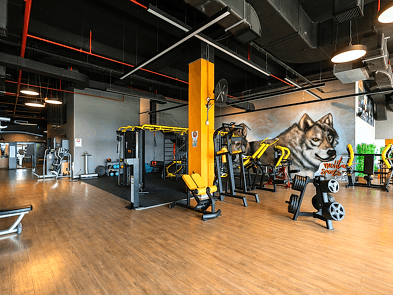 Fitness