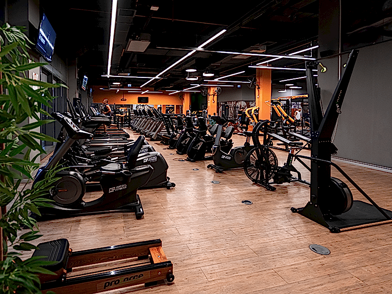 Fitness