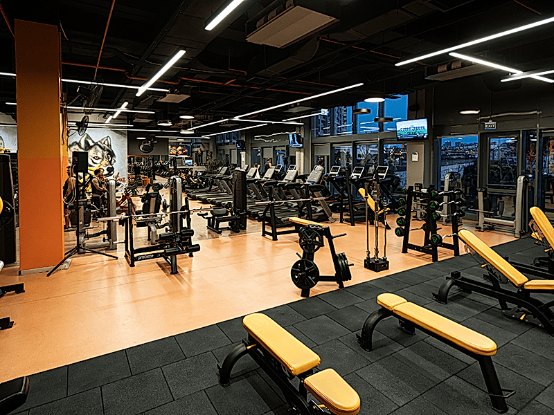 Fitness