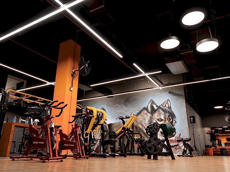 Fitness