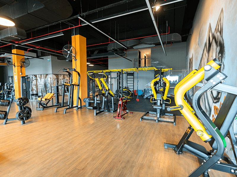 Fitness